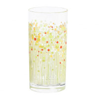 Набор стаканов  Luminarc цветочная поляна гео 6шт 270мл высокие J4943